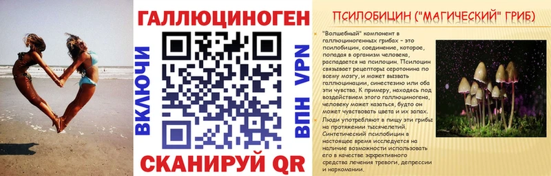 Псилоцибиновые грибы Psilocybine cubensis  Вихоревка 
